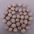 Hot Sale New Crop 185 Type Walnut in Shell